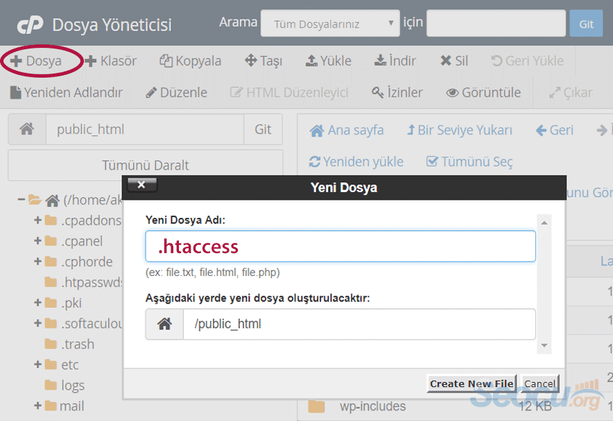 Boş .htaccess Dosyası Oluşturma