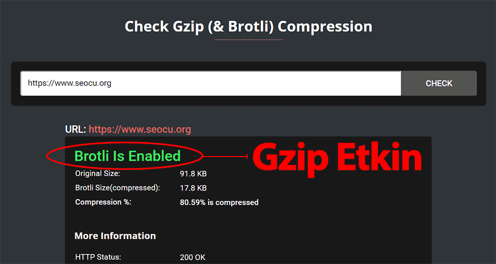 Gzip Kontrol