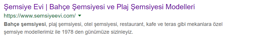 Meta Etiketleri - Title ve Description Kullanımı ile SERP Görüntüsü - Seolog