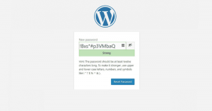Wordpress Admin Parola Sifirlama Ekrani