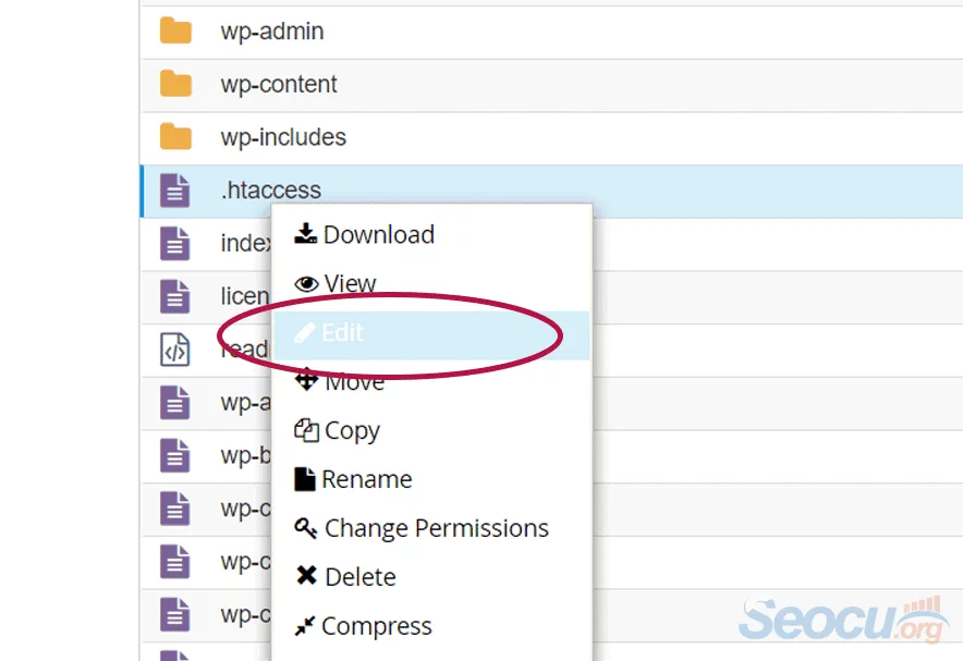 Cpanel htaccess Dosyası Düzenleme